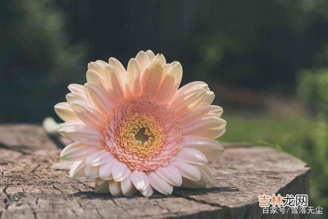 人都有这样的一个共性 讨厌的人不必翻脸，不记过，不纠缠，不怨恨就是最好的方式
