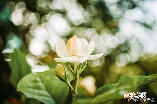 人都有这样的一个共性 讨厌的人不必翻脸，不记过，不纠缠，不怨恨就是最好的方式