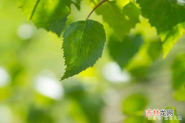 曾看到这样一句话：“你就是你最常接触的5个朋友的平均值 一个人能不能混得好，看他的“圈子”，就清楚了