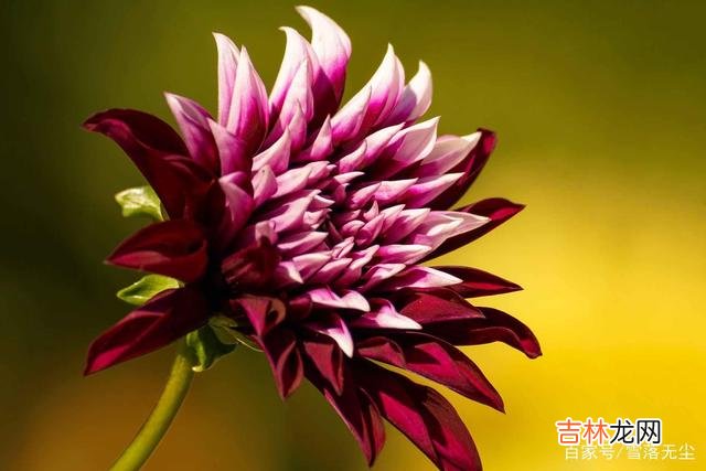 我们常听到这样的一句话：“幸运的人 相爱的人之间，有样东西要尽早摆脱，不然走不远的