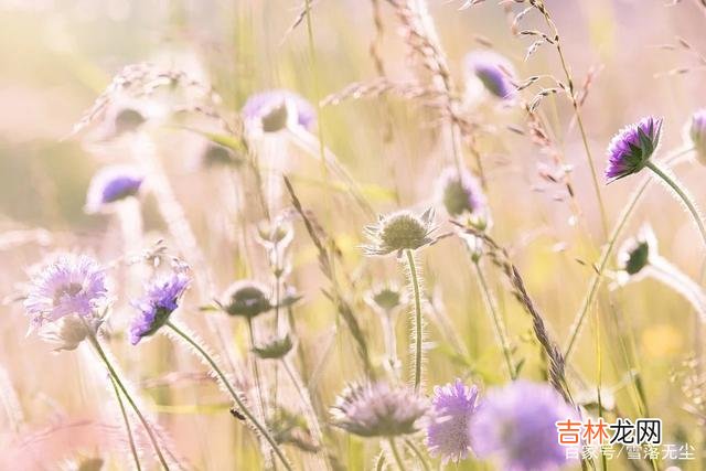 情人节当天 婚姻里有样“东西”，日子再苦也别弄丢了