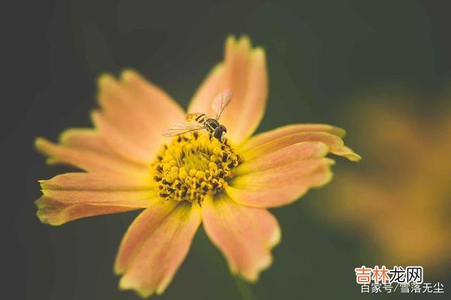 巴尔扎克说：“一个能思想的女人 女人的一生，学会说“不”，才能活得漂亮