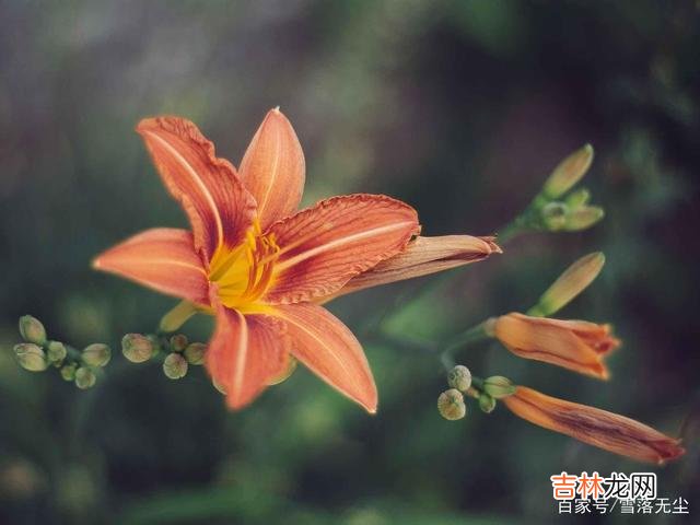 巴尔扎克说：“一个能思想的女人 女人的一生，学会说“不”，才能活得漂亮