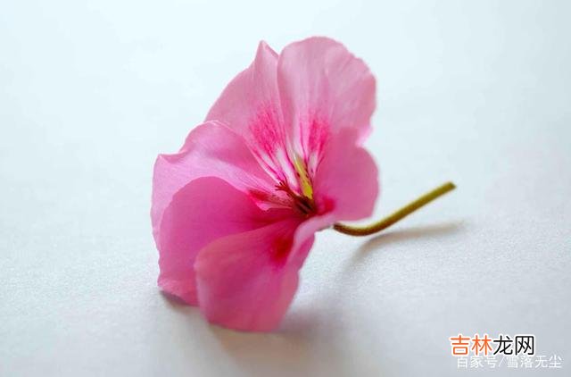 巴尔扎克说：“一个能思想的女人 女人的一生，学会说“不”，才能活得漂亮