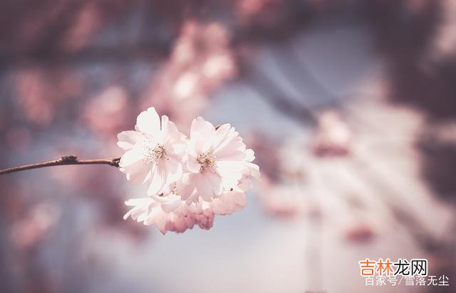 作为夫妻 夫妻相处，牢记“少一点”，才能牵手到白头