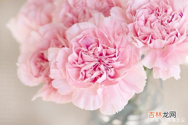 作为夫妻 夫妻相处，牢记“少一点”，才能牵手到白头