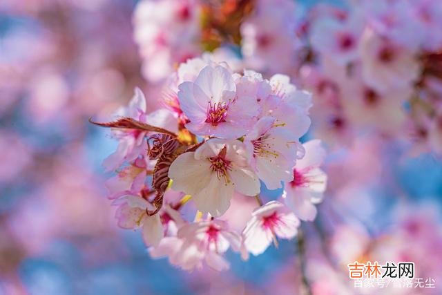 作为夫妻 夫妻相处，牢记“少一点”，才能牵手到白头