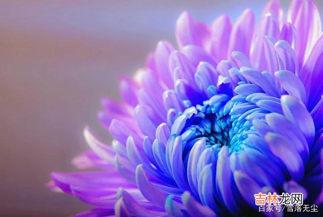 作为夫妻 夫妻相处，牢记“少一点”，才能牵手到白头