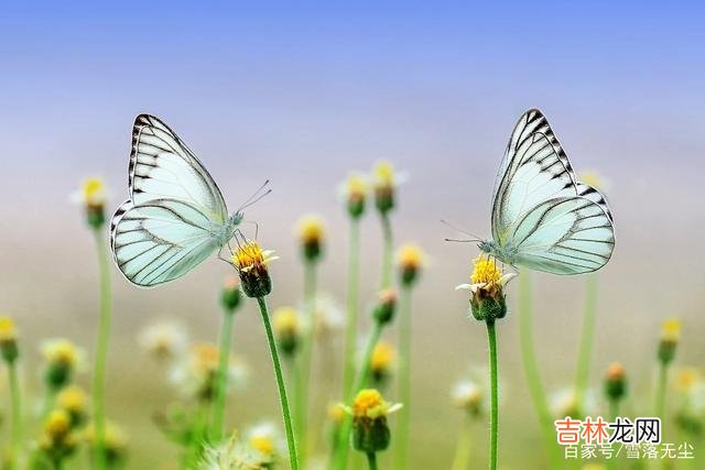作为夫妻 夫妻相处，牢记“少一点”，才能牵手到白头