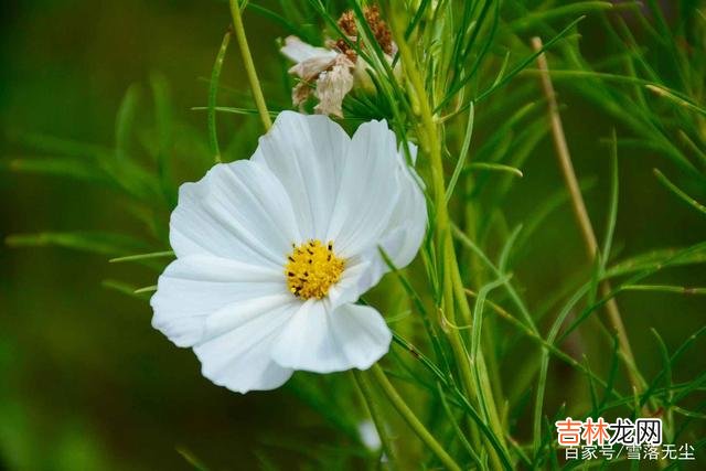 都说漂亮的女人养眼 女人在3件事上加把劲，不用刻意表现，也会让男人深爱你