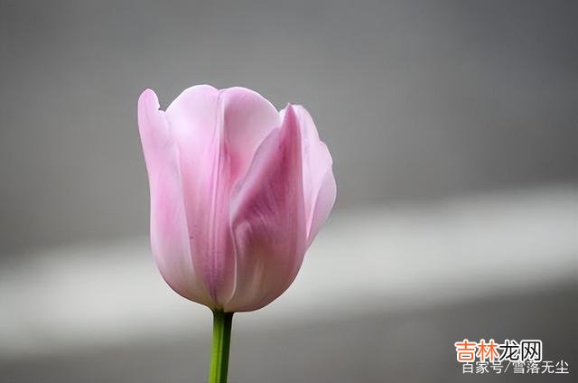 都说漂亮的女人养眼 女人在3件事上加把劲，不用刻意表现，也会让男人深爱你