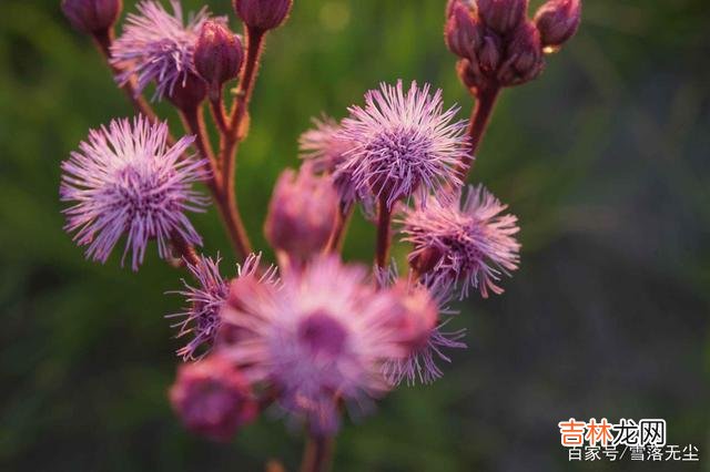 都说漂亮的女人养眼 女人在3件事上加把劲，不用刻意表现，也会让男人深爱你