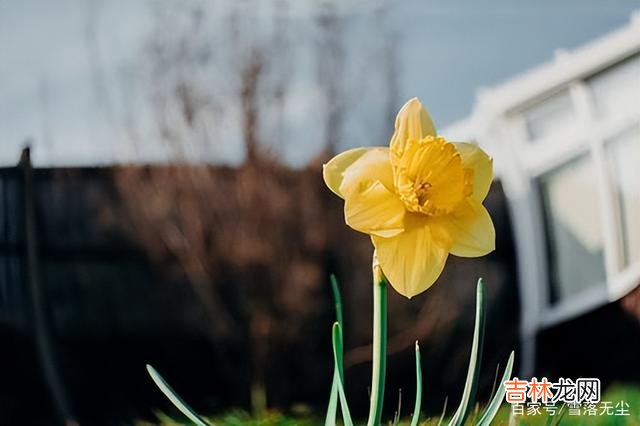 01不知道你有没有听说过 做人，不管有钱没钱，坚持一件事便能活得让人羡慕，那就是学习