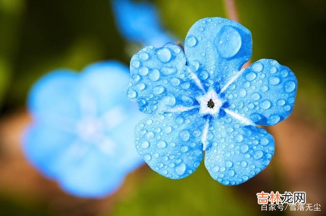 相信有很多女人都会有这样的想法 女人离婚后，遇到有此特征的男人，方可考虑再婚