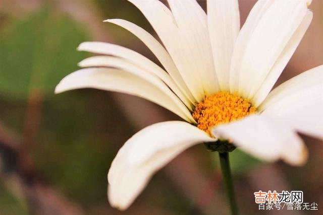 特别喜欢董卿说的一段话：“无论我们最后生疏成了什么样子 深爱一个人，却不能在一起，再舍不得也要这样做