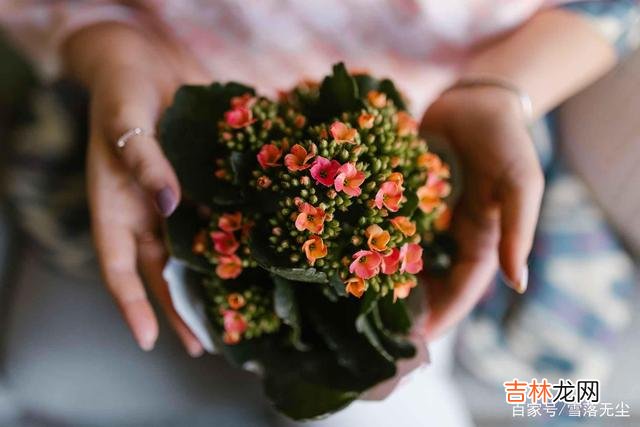 托尔斯泰说：“我们平等地相爱 两个人之间，感情越来越深，需要耍些“心机”