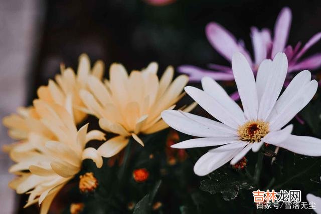 兰格说：“艺术是感情的模制品 女人在婚姻里，有些话要藏在心里，说多了离婚也就不远了