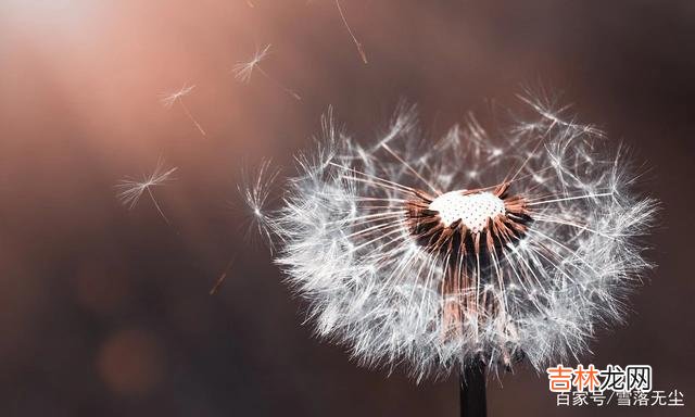 朋友圈是现在一种很时尚的社交方式 别在攀比中迷失自己，人生活好了，各自有各自的精彩