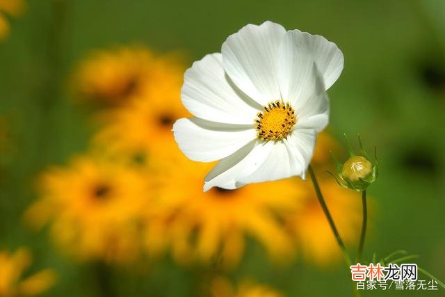 朋友圈是现在一种很时尚的社交方式 别在攀比中迷失自己，人生活好了，各自有各自的精彩