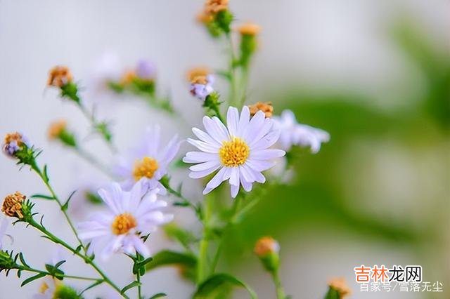 什么才是婚姻里的幸福？有人说是在婚姻里 能一路过到老的夫妻，需要三个条件，很多人输在第二个