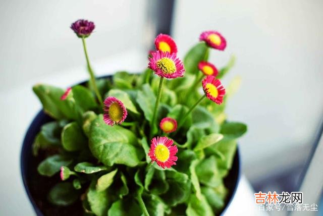 什么才是婚姻里的幸福？有人说是在婚姻里 能一路过到老的夫妻，需要三个条件，很多人输在第二个