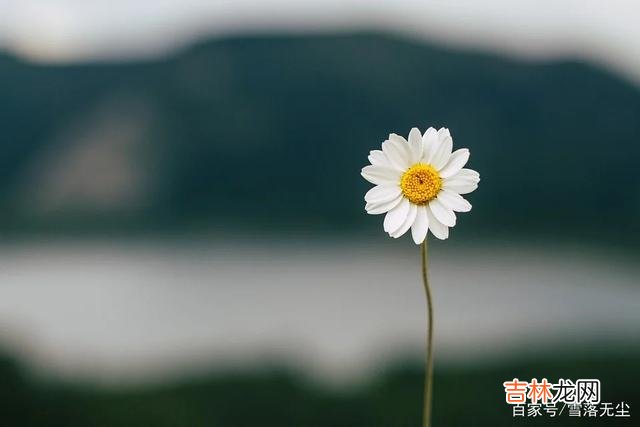 网上有个问题：“怎么看出一个女人的婚姻幸不幸福？”有一个高赞回答是 女人，活得“贵一点”，婚姻更幸福