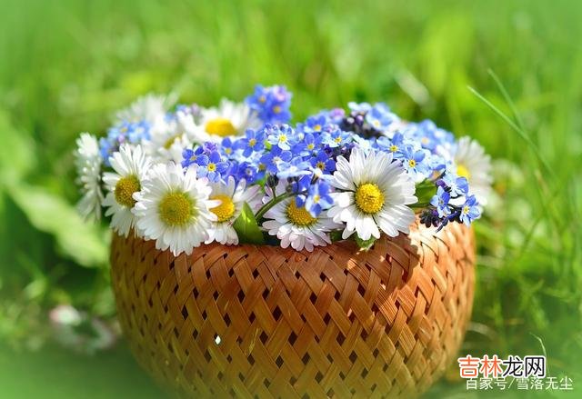 网上有个问题：“怎么看出一个女人的婚姻幸不幸福？”有一个高赞回答是 女人，活得“贵一点”，婚姻更幸福
