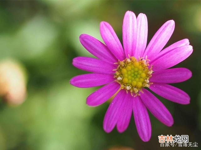 爱情里 男人在不在乎你，断联一天，便知道答案了