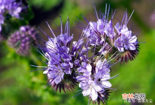 爱情里 男人在不在乎你，断联一天，便知道答案了