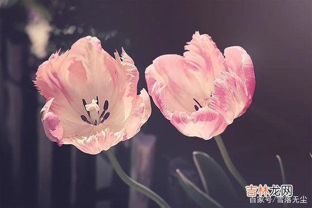 爱情里 男人在不在乎你，断联一天，便知道答案了