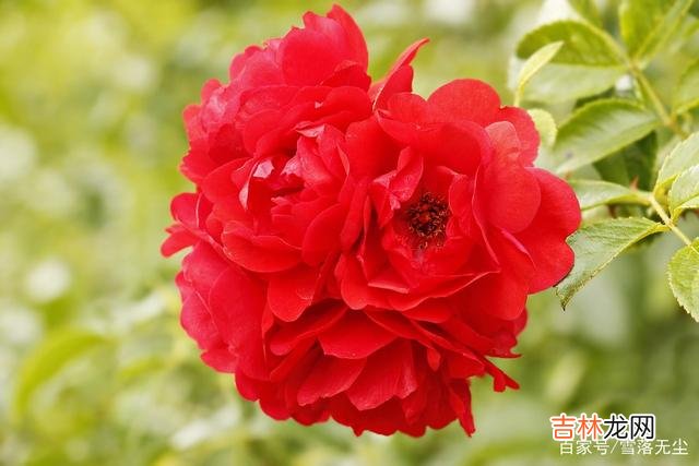 生活中 如果你活得很累，那就去做3件事，给自己换种活法