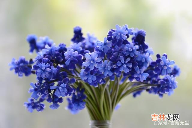 生活中 如果你活得很累，那就去做3件事，给自己换种活法