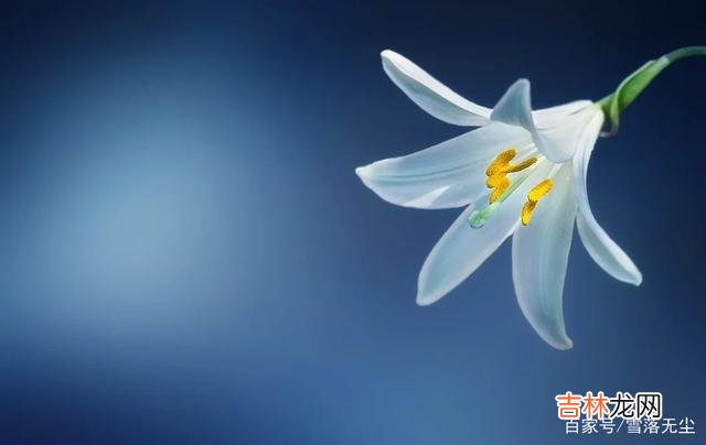 人生是一种选择 你爱的人，能不能陪你到老，看一件事，那就是两个人是否合拍