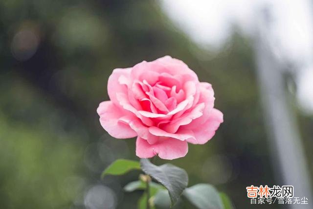 有些女人认为 越爱一个男人，越该做到“三不要”，他会更看重你