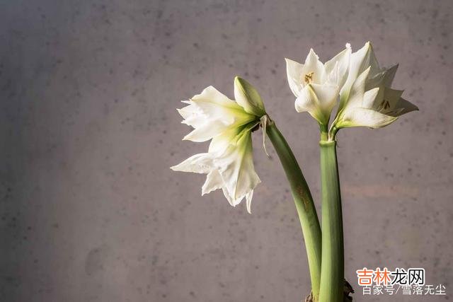 想要婚姻幸福 要想把婚姻过好，除了彼此相爱，还要舍得“放弃”