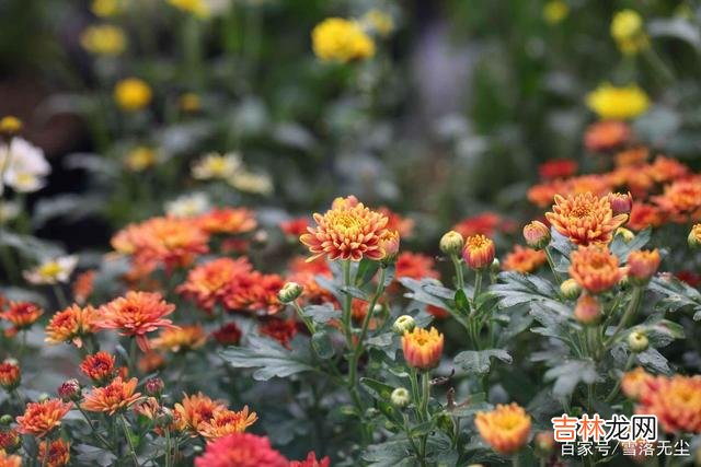 钱是一个重要的东西 女人要想越活越好，不用靠男人，而是做到一点，就是好好攒钱