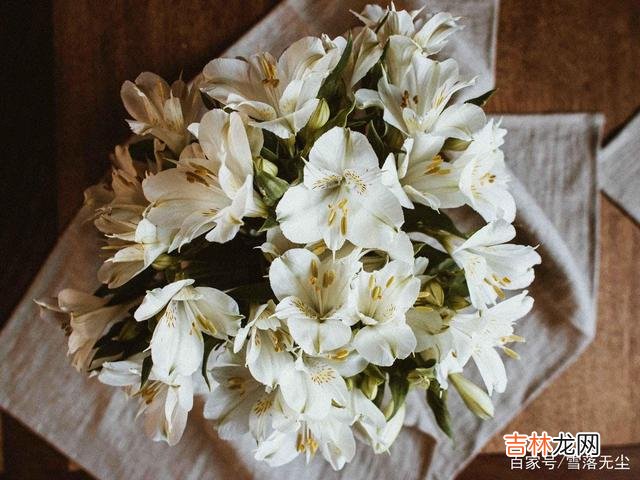 我们为了美好的生活拼尽全力 命运对谁都是公平的，之所以你不快乐，都是因为自己的心态