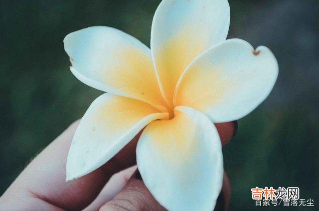 520就要到了 无论夫妻还是情人，520要这样过，才会一生难忘