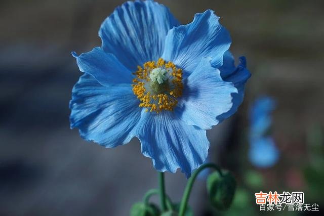 步入婚姻的你 婚姻要想过得好，女人不能靠男人，要靠三种“底气”