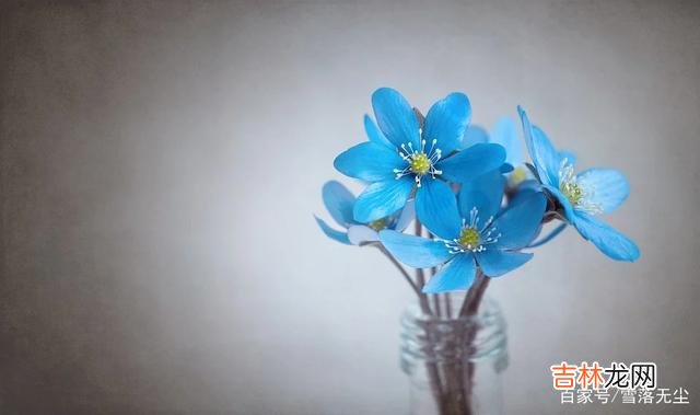 步入婚姻的你 婚姻要想过得好，女人不能靠男人，要靠三种“底气”