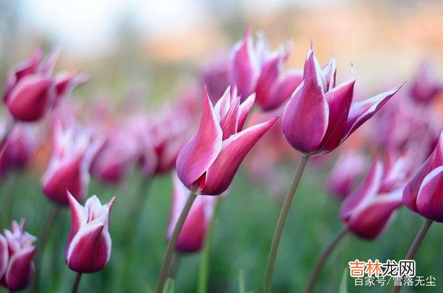 感情里 婚姻能不能幸福,从一开始就知道,可惜很多人看不透