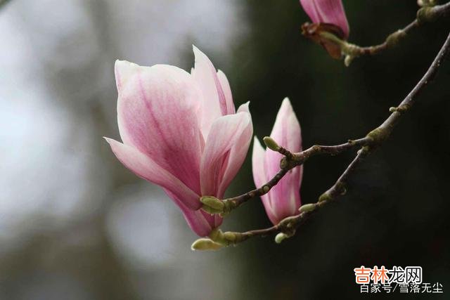 夫妻关系是世界上最奇妙的关系 究竟怎样做“情人”，才会让自己的婚姻过得幸福呢？