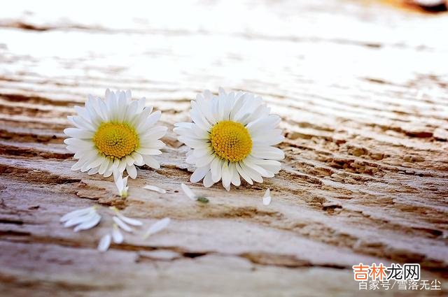 感情是这个世界上最强大的力量 有些事，你跟老公感情再深也不能碰，他会嫌弃你的