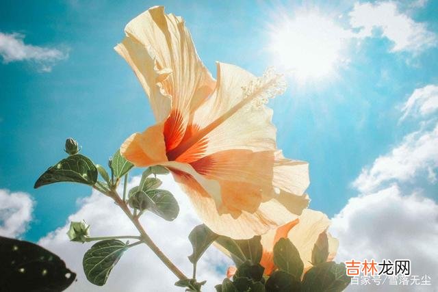 《儿子与情人》里有一句话：“爱情应该给人一种自由感 其实有些话，男人哪怕只对你说过一次，也是真爱你的表现