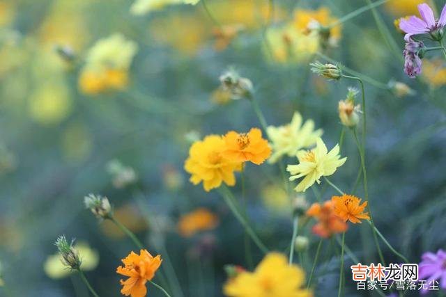《儿子与情人》里有一句话：“爱情应该给人一种自由感 其实有些话，男人哪怕只对你说过一次，也是真爱你的表现