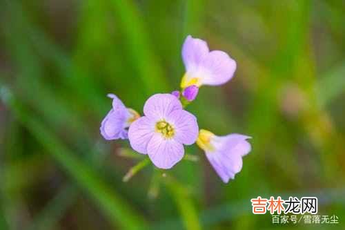 有的人 女人，要想后半生活得舒服，有些事你要主动去做