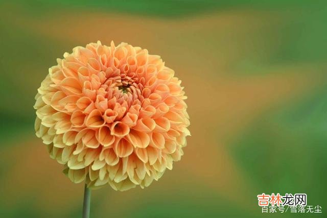 据调查 其实很多时候，夫妻能不能过到头，要看“一个人”，那就是婆婆