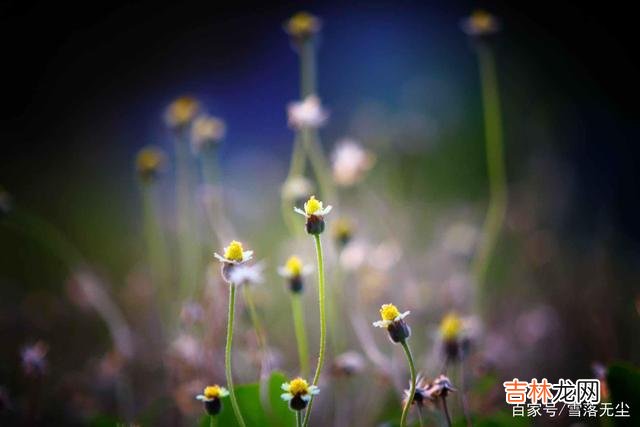 据调查 其实很多时候，夫妻能不能过到头，要看“一个人”，那就是婆婆