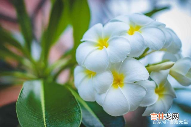 人这一辈子 人一生，若想无忧无虑，三件事上别含糊