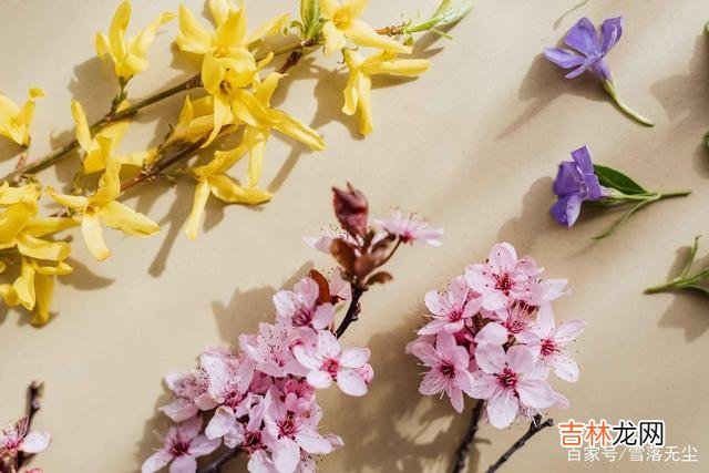 有人说 能过一辈子的夫妻,其实都在“将错就错”